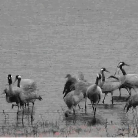 12b Jusque 4 Pers Bulle Der Du Der *